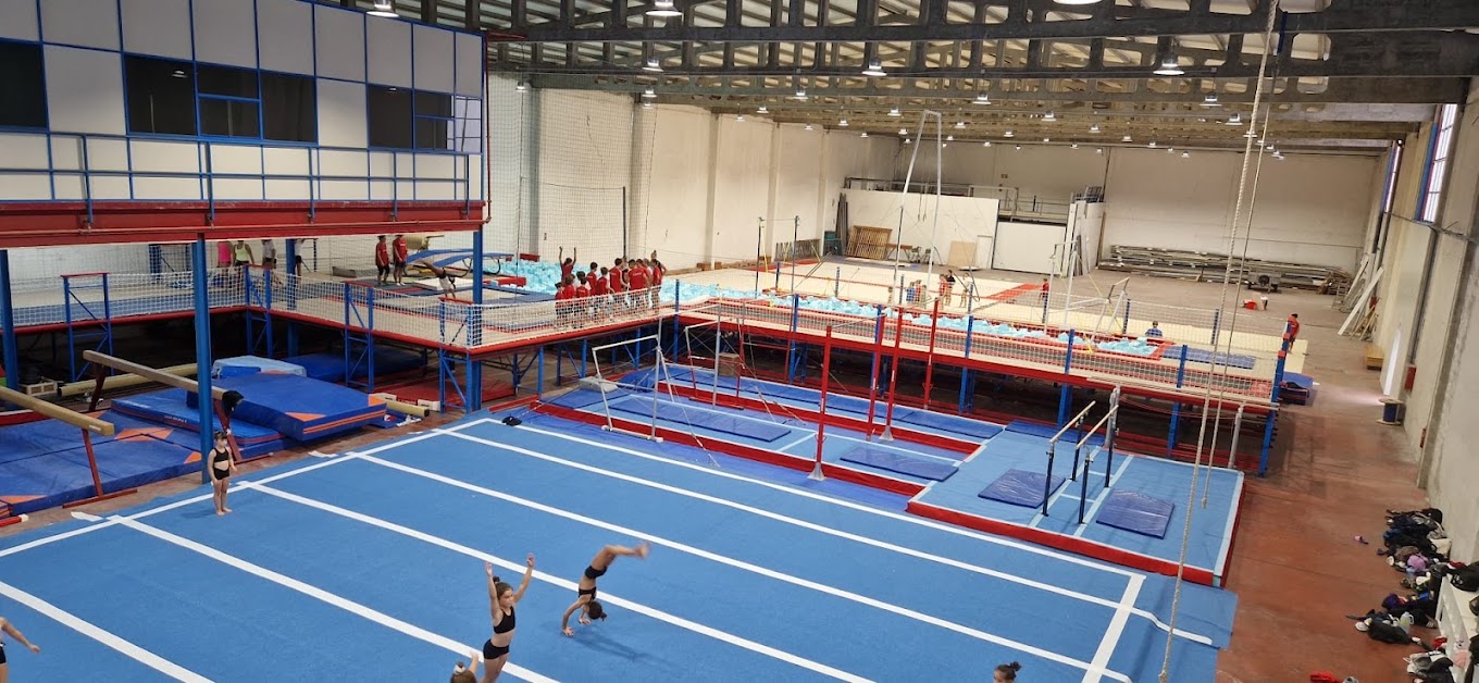 Terra Sports Academy