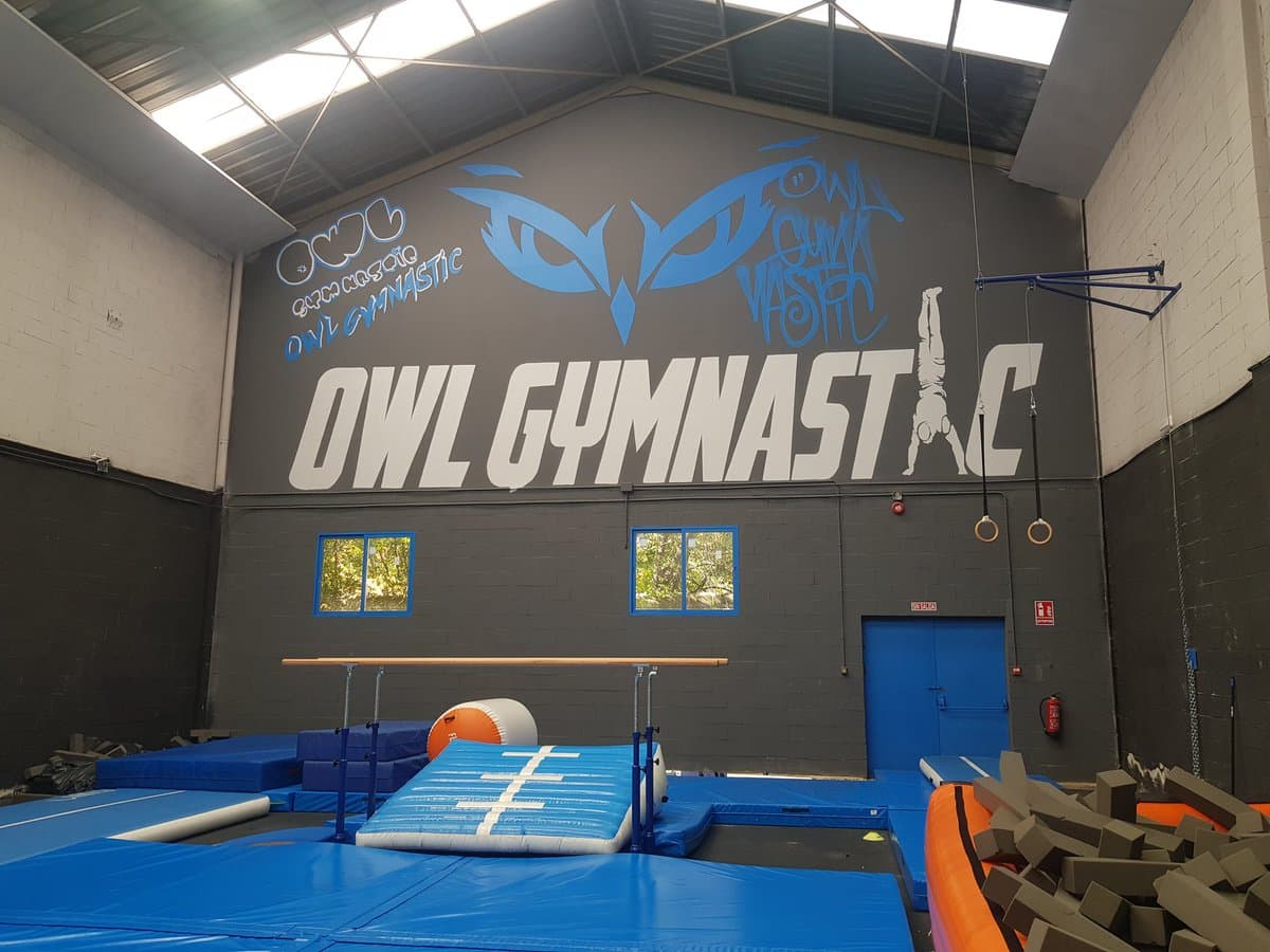 Owl Gymnastics